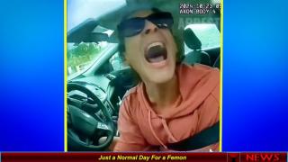 Just a Normal Day For a Femon