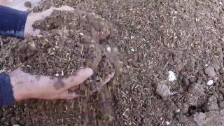 Instructions for mixing soil to grow vegetables at home for high yields and less pests