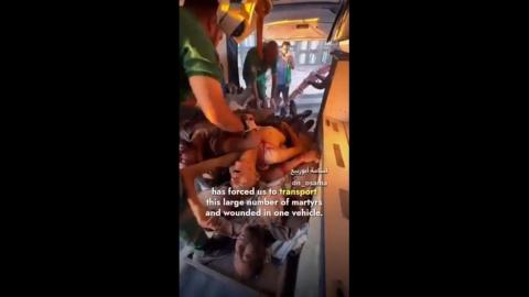 American - Jew Regime Genocide