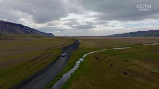 How do you grow trees in a treeless land?