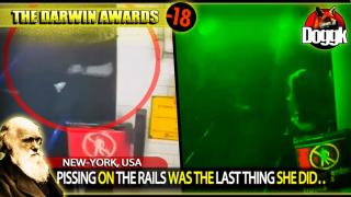 [+18] DARWIN AWARDS : PISSING ON THE RAILS WAS THE LAST THING SHE DID.. (NEW YORK, USA) >> BRUTAL KARMA..