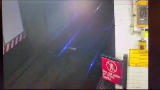 the Darwin awards - S