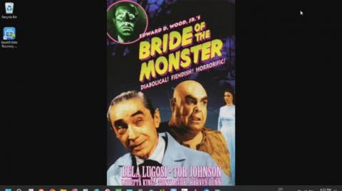 Bride of the Monster Review