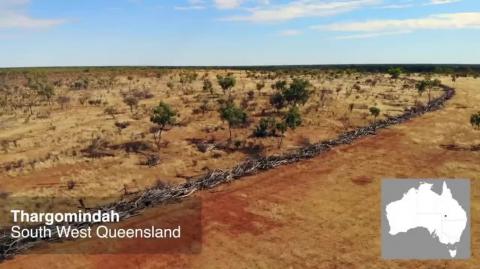 Rehydrating Thirsty Land – Regenerative Rangelands