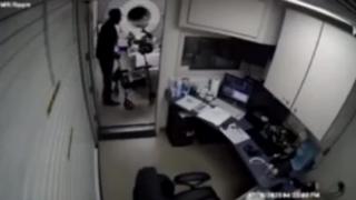 the Darwin awards - DN