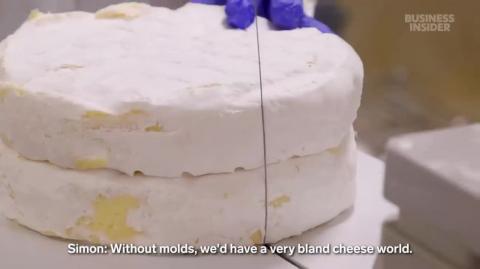 Why the Mold Behind Brie Cheese Is Disappearing