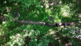 Women And Children First- How Feminism Ended Chivalry