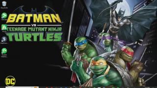 Batman vs Teenage Mutant Ninja Turtles Review