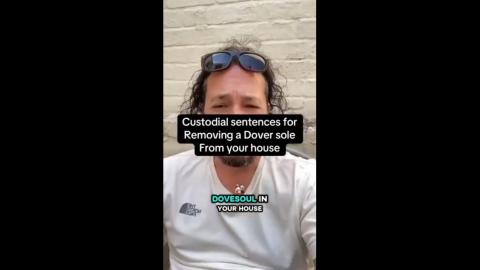 Custodial sentences handed out for removing home invaders