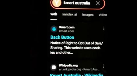 Yandex - You Fucking Vodka Soaked JEW cunts - and fucking JEWgle too - Fucking Arseholes