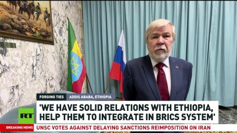 'We help Ethiopia to integrate in BRICS system' — Evgeny Terekhin