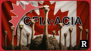 Canada's CFIA is a 