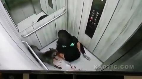 WOMEN VS SHITBULL ON BLOODY ELEVATOR