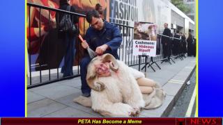 PETA Has Become a Meme