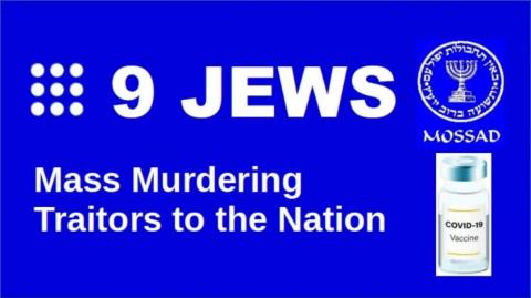 NSW ZOG BOT Premier - Traitor to the Nation