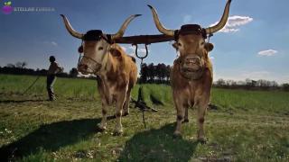 Ancient Farmers Were SMART - 10 Tools They Came Up With