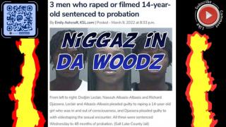 Niggaz in da Woodz