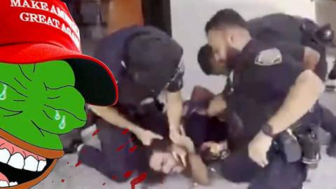 If You Don't Want to be Forcibly Arrested, Then Don't Resist