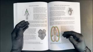 Saving Your "Seed" Can Give You POWER