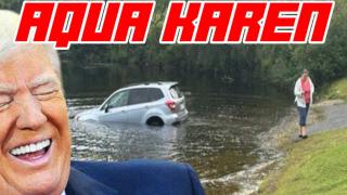 Anti-ICE Protestor Forgets to Put Car In Park And it Crashes into Lake