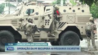 Um blindado, cinco fuzis e apoio logístico para prender um traficante de periquitos