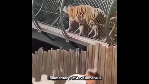 Tony the Tiger has a sense of humor