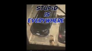 Stupid is everywhere