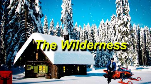 The Wilderness