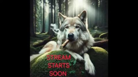 23.Wolf Slumbers Black Pilled Live Stream counter trike  doom  quake  half life  grand theft auto