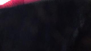 728a  The Student Body Will Turn against Women's Studies Departments, Part 1 (Masculism, MGTOW)