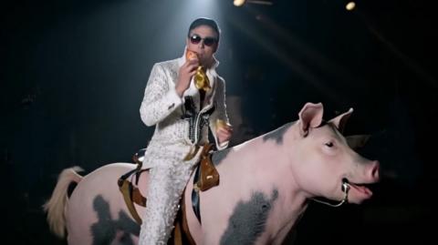 The Hog Rider King