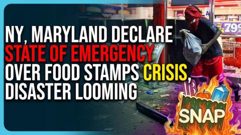 NY, Maryland Declare State of Emergency Over Food Stamps Crisis, Disaster Looming