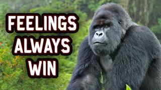 Feelings Are Just A Proxy For Something Else