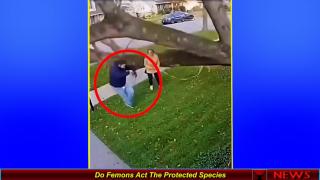 Do Femons Act The Protected Species