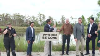 Governor DeSantis Highlights New Success in Removing Invasive Pythons from the Everglades