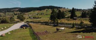 The Jamaican Bobsled Team | Tate Confidential Ep 324