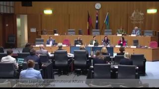 Australia's far-left Sex Discrimination Commissioner Dr Anna Cody - An idiot under examination.