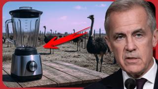 OUTRAGE in Canada: CFIA Accused of Grinding Up Ostriches Alive on Family Farm