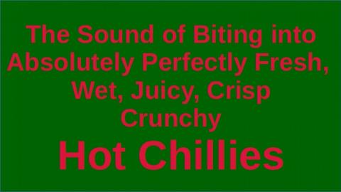 The Sounds of Biting Into Perfectly Fresh Chillies