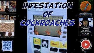 Infestation of cockroaches 🪳