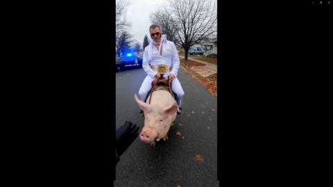 Hit It Porkchop