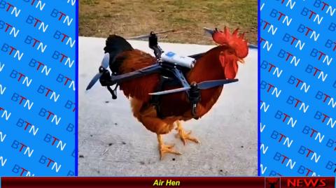 Air Hen