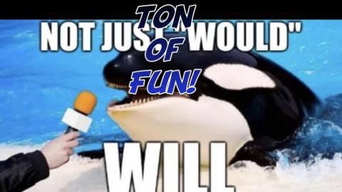 Ton of fun