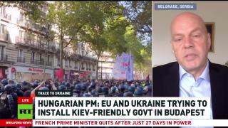 'We see a clear pattern' — Serbian MP Pavic on Deep State activity in the EU