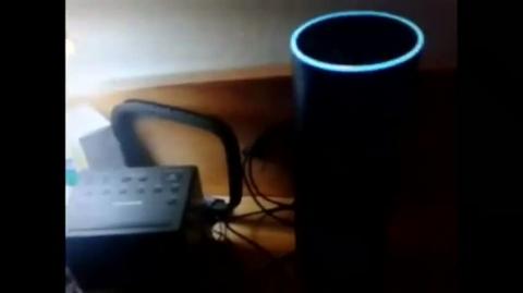 Alexa, Are you spying on me - Who do you work for - Do you work for the NSA - And the answer is