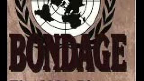 Global Bondage: The U.N. Plan to Rule the World (Cliff Kincaid)