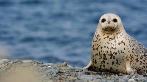 Inland Visions | Exploring Russia’s Pacific edge