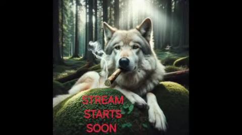 32.Wolf Slumbers Black Pilled Live Stream counter trike  doom  quake  half life  grand theft auto