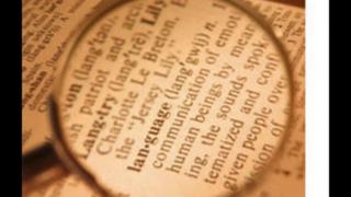 Semantics and Intelligence