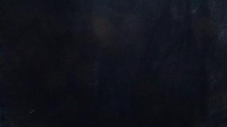 727a Masculists See Entitled Women as Ignorable Vermin, Part 1 (Masculism, MGTOW)